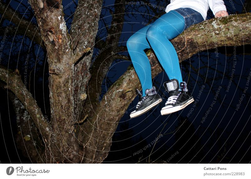 oben bleiben Mensch feminin Junge Frau Jugendliche Beine 1 Pflanze Baum festhalten warten blau sitzen Schuhe Strumpfhose Textfreiraum unten baumeln Turnschuh