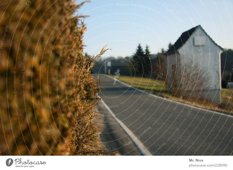 Auf halber Strecke Umwelt Herbst Pflanze Sträucher Dorf Stadtrand Hütte Straßenverkehr Wege & Pfade Idylle Mobilität Landstraße Hecke unterwegs Straßenrand