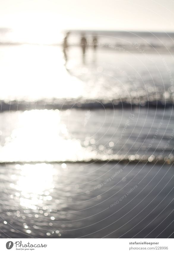 Fading Freude Glück Wohlgefühl Zufriedenheit Freizeit & Hobby Sommer Sommerurlaub Sonne Strand Meer Wellen Freundschaft 3 Mensch Wasser Schönes Wetter Erholung