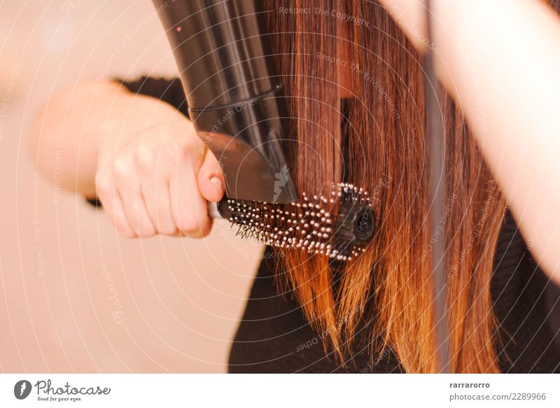 Frau trocknete ihr Haar mit Pinsel und Fön Lifestyle elegant schön Haare & Frisuren Behandlung Arbeit & Erwerbstätigkeit Werkzeug Mensch Erwachsene Hand Mode