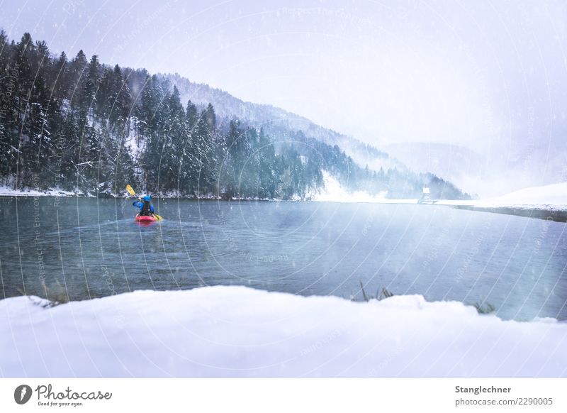 kayak Lifestyle Winter Baum See ästhetisch Coolness Billig blau Freude Damian Stausee Kajak Schnee Außenaufnahme Aktion kalt Natur Farbfoto Textfreiraum rechts