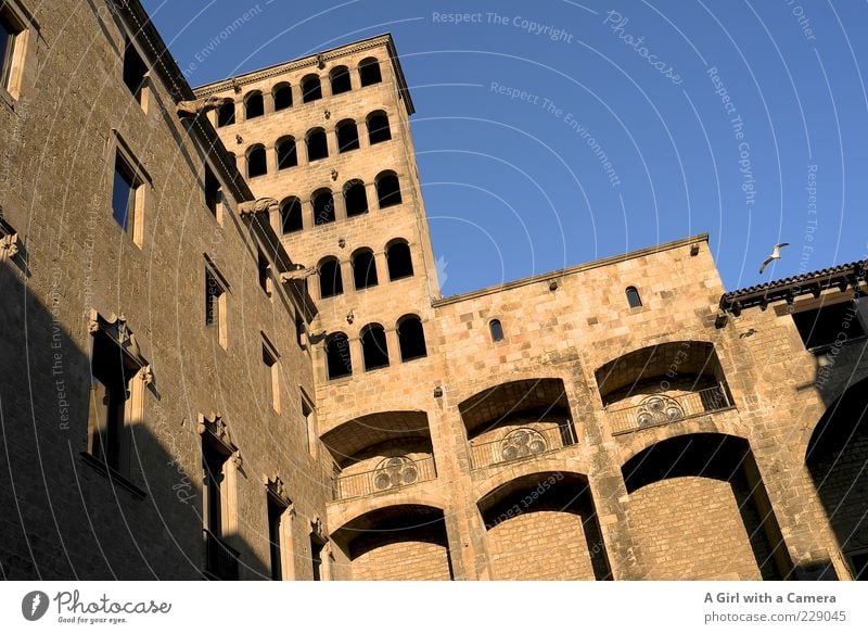 Barri Gothic Barcelona Katalonien Spanien Altstadt Bauwerk Gebäude Architektur Mauer Wand Fassade Fenster Sehenswürdigkeit Bari Gothic alt gigantisch historisch