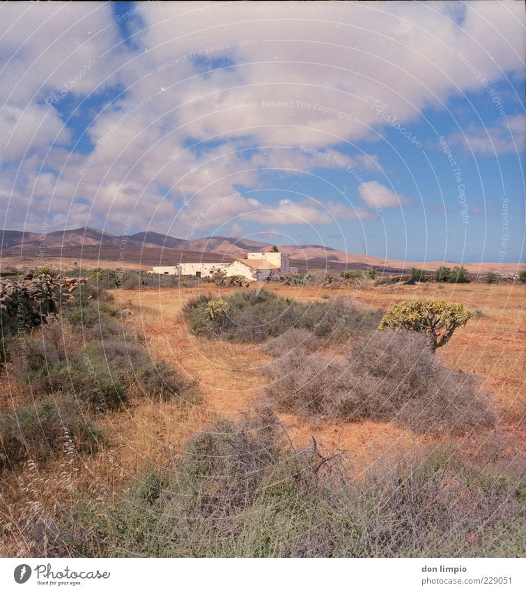 en el campo Ferien & Urlaub & Reisen Haus Landschaft Sommer Schönes Wetter Berge u. Gebirge Insel Fuerteventura Dorf bevölkert Menschenleer authentisch Ferne