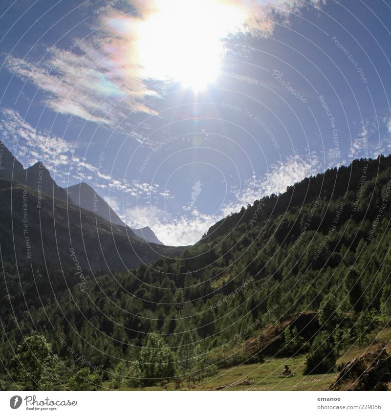 Pyrenäensonne Ferien & Urlaub & Reisen Tourismus Ausflug Freiheit Sommer Sommerurlaub Natur Landschaft Himmel Klima Schönes Wetter Pflanze Baum Wiese Wald Alpen