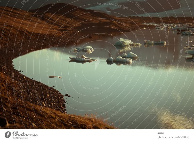 Spätsommereis Umwelt Natur Landschaft Urelemente Wasser Klima Klimawandel Schönes Wetter Eis Frost Gletscher Seeufer kalt blau Gebirgssee Gletschereis