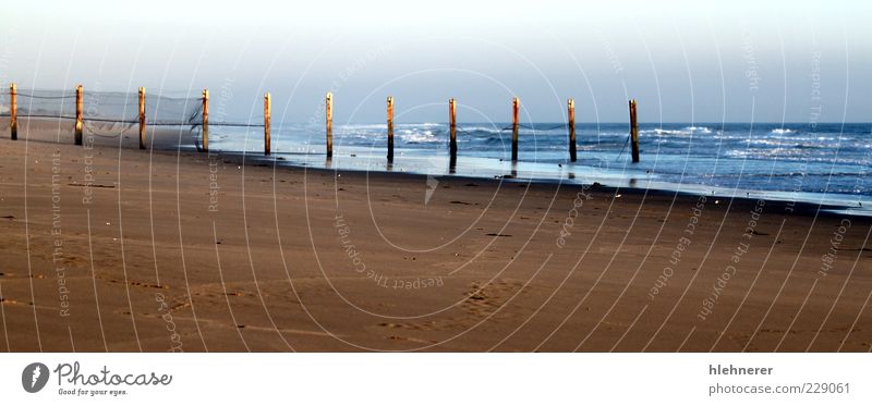 Strand Sonnenuntergang Ormond Beach schön Ferien & Urlaub & Reisen Sommer Meer Wellen Natur Landschaft Sand Himmel Horizont Sonnenaufgang Wetter Schönes Wetter