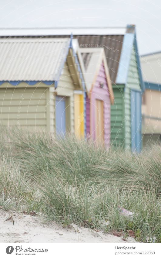 Am Strand Ferien & Urlaub & Reisen Tourismus Sommer Sommerurlaub Sand Gras Hütte Strandhaus Düne Farbfoto mehrfarbig Außenaufnahme Menschenleer