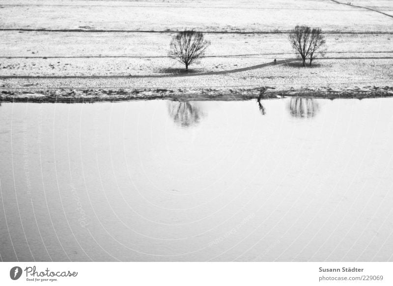 zusammen. Winter Baum einzigartig Wege & Pfade Elbe Elbufer Fluss Flussufer Schnee kalt Reflexion & Spiegelung Schwarzweißfoto Außenaufnahme Detailaufnahme