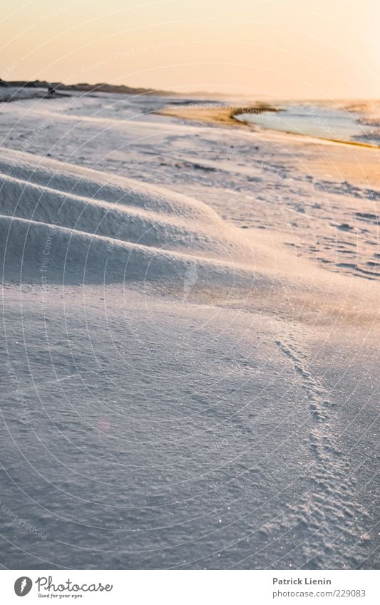 555 days in winter Umwelt Natur Landschaft Urelemente Luft Himmel Horizont Sonnenlicht Winter Klima Wetter Schönes Wetter Wind Schnee Küste Strand Bucht Nordsee