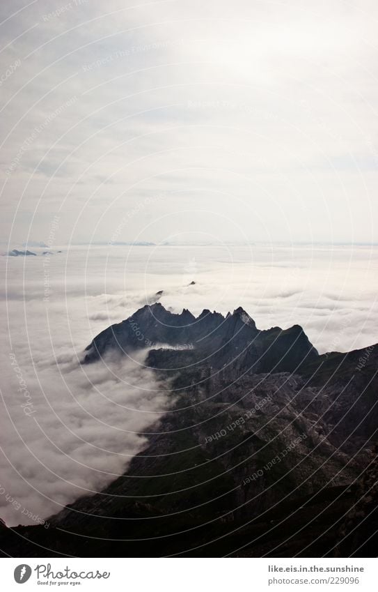 Über den Wolken Umwelt Natur Landschaft Urelemente Luft Erde Himmel Horizont Sommer Herbst Klima Wetter Schönes Wetter Nebel Dürre Felsen Alpen Berge u. Gebirge