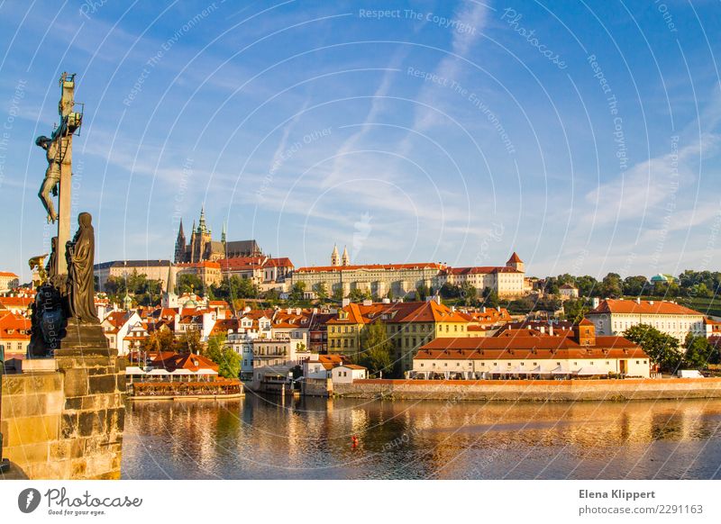 Altstadt Prag. Tschechien Wasser Horizont Schönes Wetter Flussufer Moldau Europa Stadt Hauptstadt Stadtzentrum Bauwerk Gebäude Architektur Sehenswürdigkeit