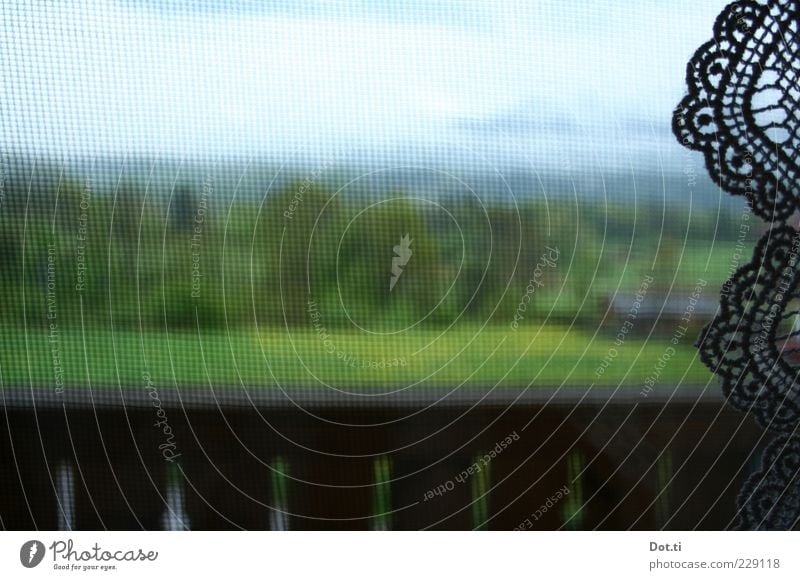 Alpenvorland Dekoration & Verzierung Natur Landschaft Feld grün Idylle Gardine Borte Fliegengitter Balkon Fenster herausschauen Bayern Wolken Spitze Farbfoto