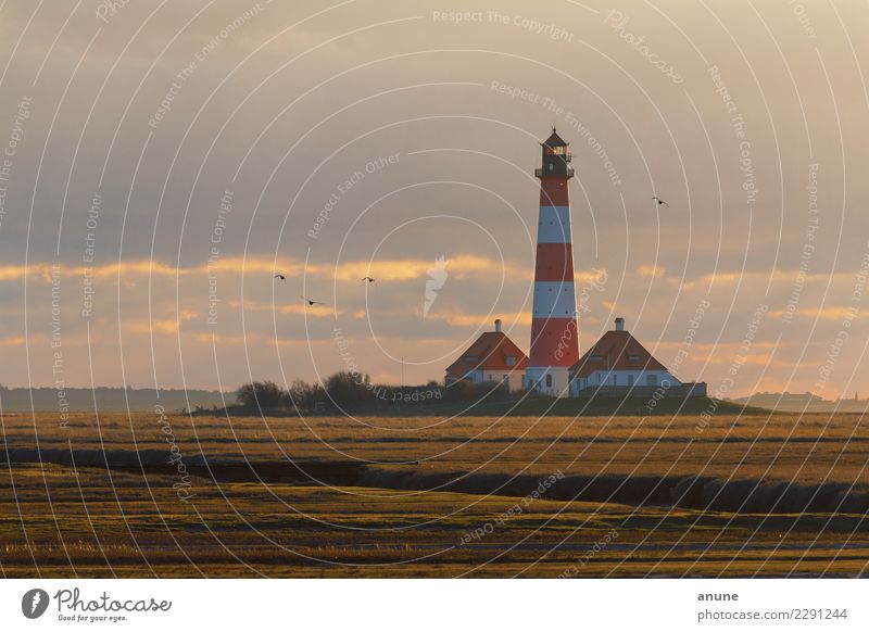 Nordlicht im Wattenmeer Ferien & Urlaub & Reisen Tourismus Freiheit Umwelt Natur Landschaft Wolken Sonnenlicht Wetter Küste Nordsee Leuchtturm Bauwerk