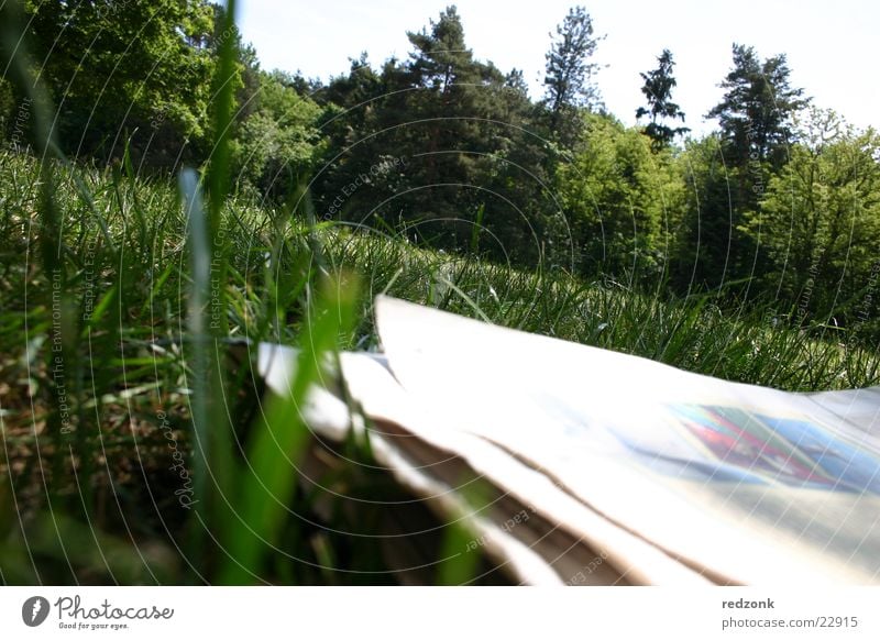 Zeitung auf Wiese Baum grün Zeitschrift Papier Freizeit & Hobby Erholung lesen Natur verrückt Neigung