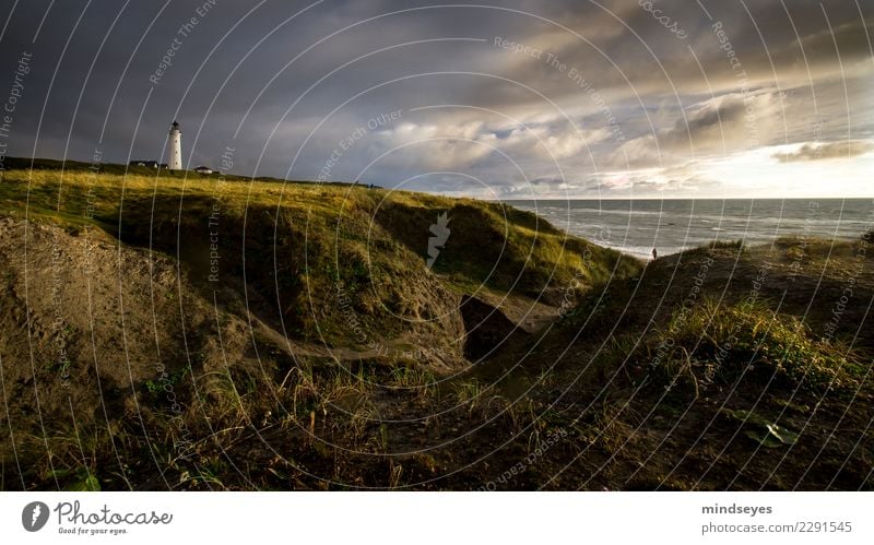 Leuchtturm Strand Natur Landschaft Erde Wasser Himmel Wolken Gras Küste Nordsee Düne gehen Unendlichkeit maritim blau gold grün Fernweh Einsamkeit Freiheit