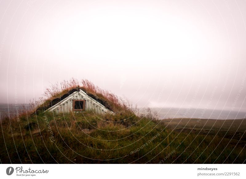 Eingewachsen Natur Landschaft Sonnenaufgang Sonnenuntergang Gras Wiese Hütte Fenster Dach dunkel wild grün rosa ruhig träumen Einsamkeit