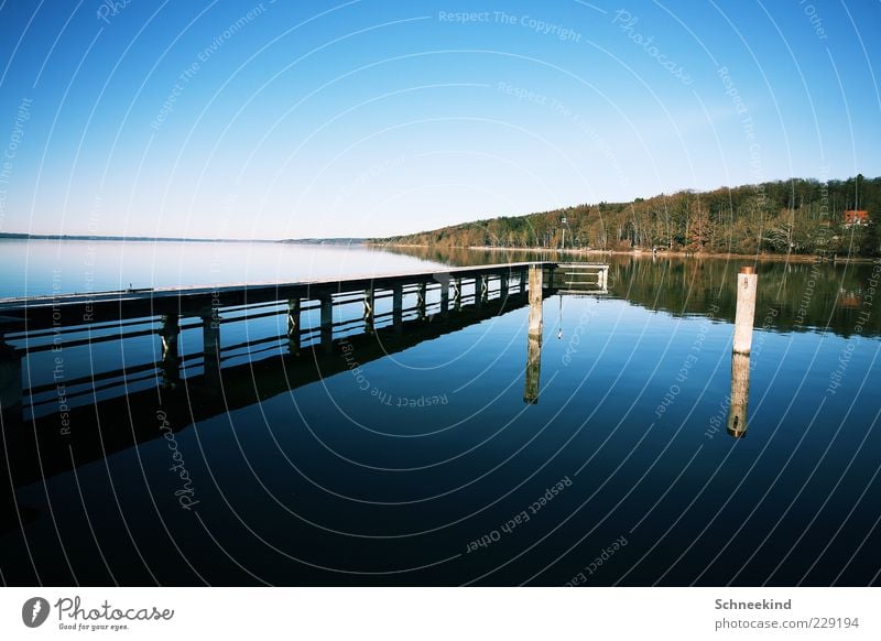 Draussen am See IV harmonisch Wohlgefühl Erholung ruhig Tourismus Ausflug Ferne Freiheit Umwelt Natur Landschaft Luft Wasser Himmel Schönes Wetter Baum Seeufer