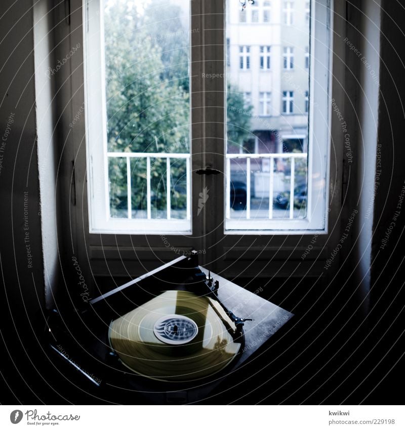 nachbarschaftsstreit Lifestyle Häusliches Leben Wohnung Entertainment Musik Musik hören Schallplatte Sammlerstück Freude Fenster Fensterblick Baum