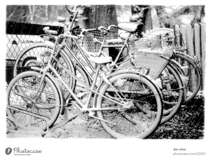 zuckerguss Fahrrad kalt erfrieren Winter Fahrradständer Pedal Freizeit & Hobby Schnee Schwarzweißfoto erstarrt bedecken Eis Speichen gepäckträger