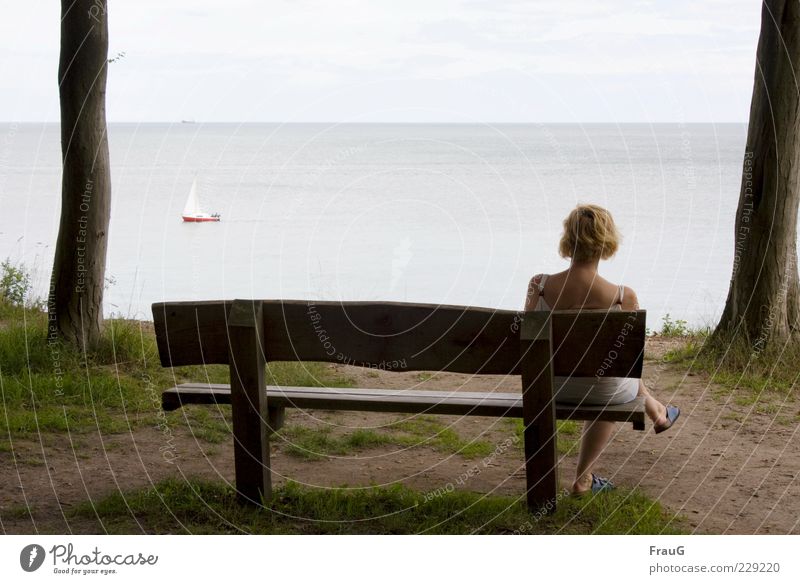 Meer betrachten Ferien & Urlaub & Reisen Ferne Sommer Frau Erwachsene 1 Mensch Wasser Himmel Baum Küste Ostsee blond Erholung ruhig Farbfoto Außenaufnahme Tag