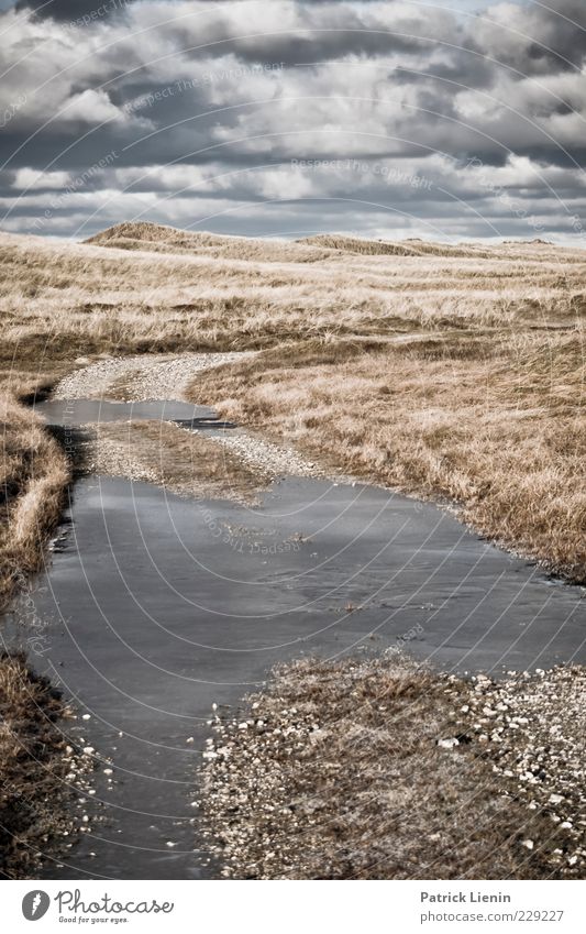 wir machen den weg frei Umwelt Natur Landschaft Pflanze Urelemente Luft Himmel Wolken Gewitterwolken Winter Klima Klimawandel Wetter schlechtes Wetter Unwetter