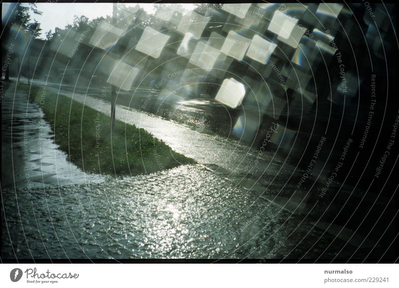 Regenglitzer Umwelt Natur Sommer Klima Klimawandel Gewitter Verkehrswege glänzend nass trashig wild Stimmung geheimnisvoll Wassertropfen Farbfoto abstrakt