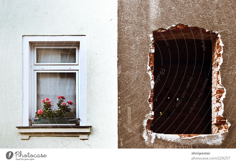 Teilsanierung Haus Hausbau Renovieren Umzug (Wohnungswechsel) Sanieren Altbauwohnung Aufbau Ost Backstein Fenster Baustelle Wirtschaft Mauer Wand Zukunftsangst