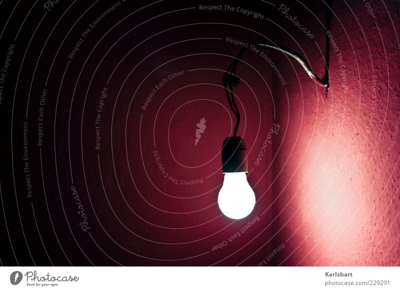 licht. in der dunkelheit. Lifestyle Stil Wohnung einrichten Lampe Raum Energiewirtschaft Technik & Technologie Fortschritt Zukunft Erneuerbare Energie