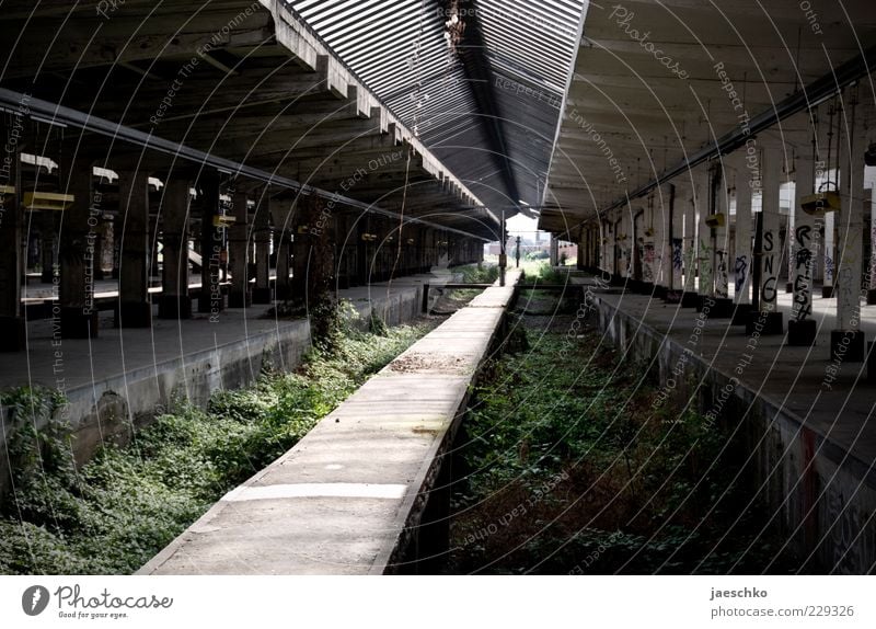 Natur übernimmt Bahnhof alt Zukunftsangst stagnierend Surrealismus Güterverkehr & Logistik Vergänglichkeit Wandel & Veränderung verfallen Verfall Vergangenheit