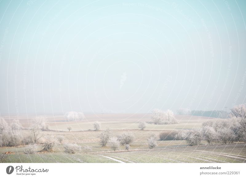 alles schläft Umwelt Natur Landschaft Winter Klima Eis Frost Feld kalt ruhig Stimmung Raureif Baum Mecklenburg-Vorpommern Farbfoto Gedeckte Farben Außenaufnahme