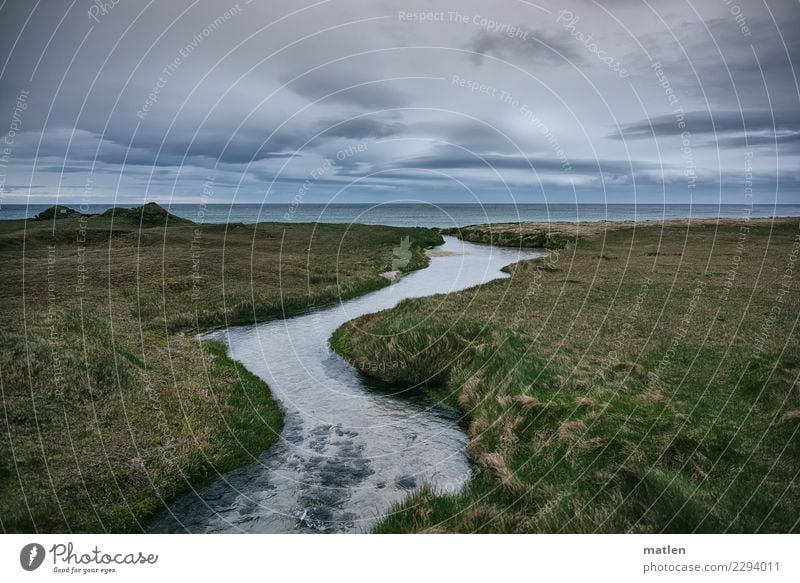 flow Natur Landschaft Pflanze Wasser Himmel Wolken Horizont Frühling Wetter Wind Gras Wiese Küste Flussufer Strand Meer Coolness elegant blau braun grün fließen