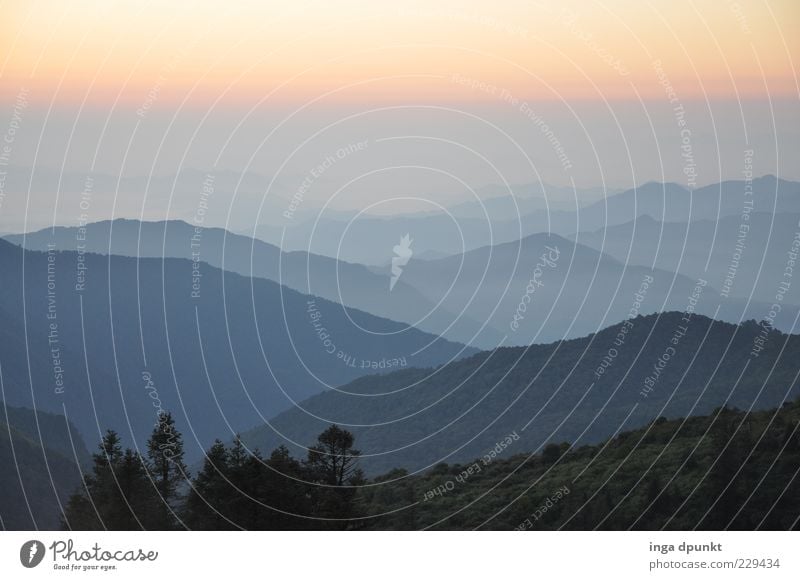 Poon Hill Umwelt Natur Landschaft Pflanze Luft Schönes Wetter Nebel Wald Hügel Berge u. Gebirge Gipfel Aussicht Nepal Asien Menschenleer beobachten Erholung