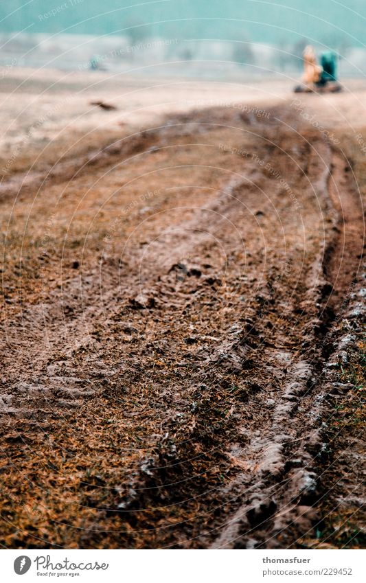 Im Märzen der Bauer ... Landwirtschaft Forstwirtschaft Natur Erde Himmel Feld Traktor Traktorspur Farbfoto Gedeckte Farben Außenaufnahme Schwache Tiefenschärfe