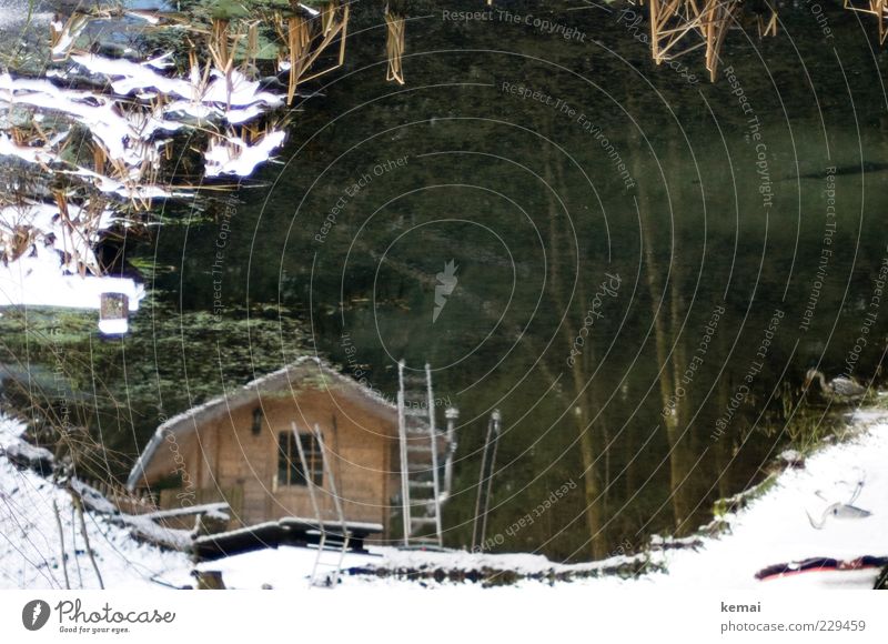 Outdoor Sauna Wellness Wohlgefühl Erholung ruhig Spa Umwelt Natur Winter Eis Frost Schnee Pflanze Baum Sträucher Garten Teich See Hütte Fenster Tür Leiter