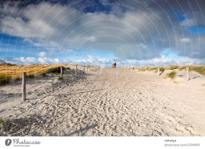 Leute gehen auf Sandweg und schönen blauen Himmel Ferien & Urlaub & Reisen Paar Natur Landschaft Wolken Schönes Wetter Küste Strand Nordsee Wege & Pfade Holz