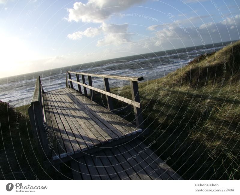 Steg Strand Meer Insel Wellen Umwelt Natur Landschaft Wasser Himmel Sonnenaufgang Sonnenuntergang Herbst Schönes Wetter Küste Seeufer Ostsee Sand Holz Stimmung