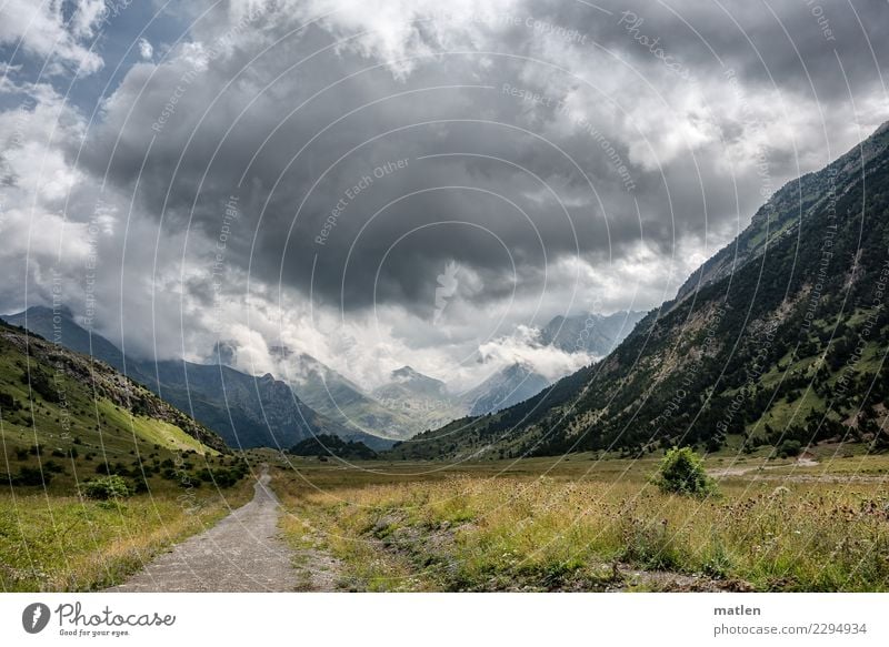 Tal der Murmeltiere Natur Landschaft Pflanze Himmel Wolken Gewitterwolken Horizont Sommer Schönes Wetter Blume Gras Sträucher Berge u. Gebirge Gipfel