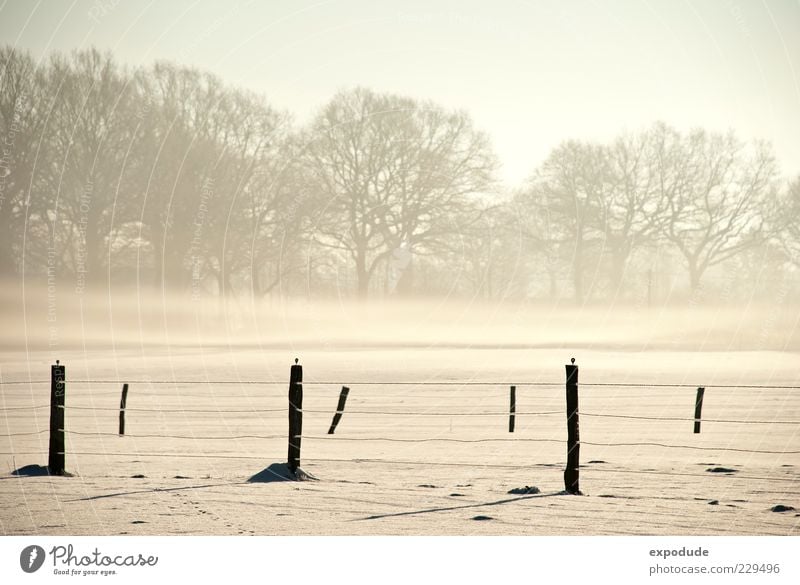 Winternebel Natur Landschaft Nebel Eis Frost Schnee Feld Stimmung Farbfoto Außenaufnahme Morgen Zaunpfahl Menschenleer Morgennebel Baum Nebelschleier Nebeldecke