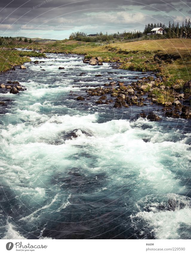 Reißender Fluss Haus Umwelt Natur Landschaft Urelemente Wasser Himmel Wolken Gewitterwolken Flussufer Hütte außergewöhnlich fantastisch gigantisch groß wild