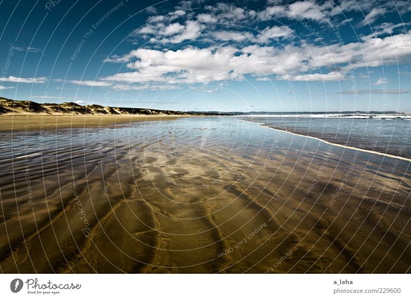 i'm dreaming of...* Natur Landschaft Urelemente Sand Wasser Himmel Wolken Klima Schönes Wetter Küste Strand Meer nass natürlich Fernweh Ferne Nordinsel