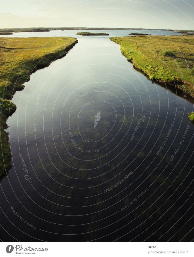 Wasserstand ruhig Umwelt Natur Landschaft Urelemente Wiese Seeufer Flussufer dunkel groß wild Island Gewässer Quelle Ursprung Delta Klarheit Farbfoto mehrfarbig