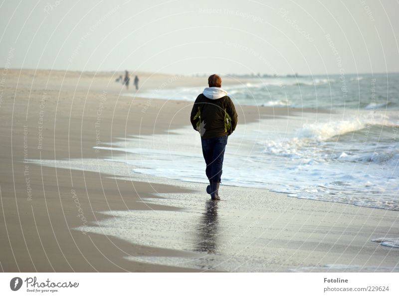 Strandläufer Mensch maskulin Junger Mann Jugendliche Erwachsene Haare & Frisuren Rücken Beine 1 Umwelt Natur Landschaft Himmel Wolkenloser Himmel Herbst Wellen