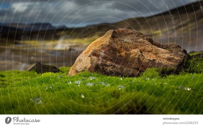 Unten im Moos Natur Landschaft Urelemente Erde Wassertropfen Wolken Hügel Felsen Geothermik Island Menschenleer Stein entdecken Erholung