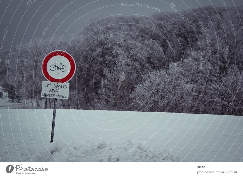 So so Umwelt Natur Landschaft Himmel Wolkenloser Himmel Winter Schnee Wald Schilder & Markierungen Hinweisschild Warnschild dunkel kalt grau Verbote Schneedecke