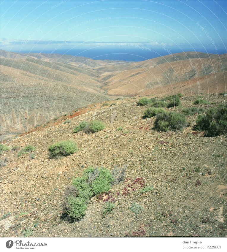 barranco de amanay Ferne Sommer Insel Berge u. Gebirge Umwelt Landschaft Erde Schönes Wetter Wärme Dürre Sträucher Hügel Fuerteventura Menschenleer dehydrieren