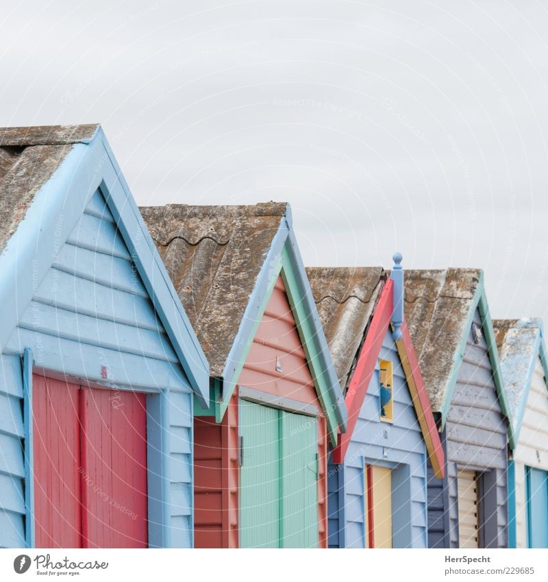 Reihenhäuschen Küste Strand Hütte Gebäude Holz Fröhlichkeit klein mehrfarbig Strandhaus Buntlack Holzwand Holzhaus Holzbrett Reihenhaus Farbfoto Außenaufnahme