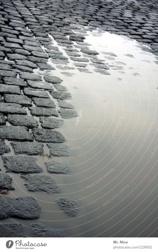 montag morgen Wasser Klima Klimawandel schlechtes Wetter Regen Gewitter Verkehrswege Straße Wege & Pfade nass Kopfsteinpflaster Pflastersteine kalt Pfütze