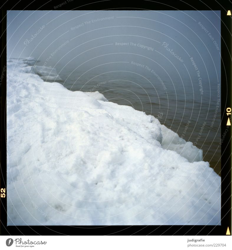 Küstennebel Umwelt Natur Landschaft Winter Klima Nebel Eis Frost Schnee Strand Ostsee außergewöhnlich dunkel kalt Stimmung Endzeitstimmung Farbfoto