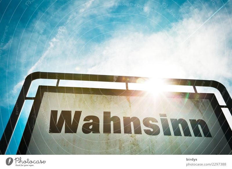 Schild mit Aufschrift " Wahnsinn ", im Gegenlicht. universell Himmel Wolken Sonnenlicht Schönes Wetter Schriftzeichen Schilder & Markierungen Hinweisschild