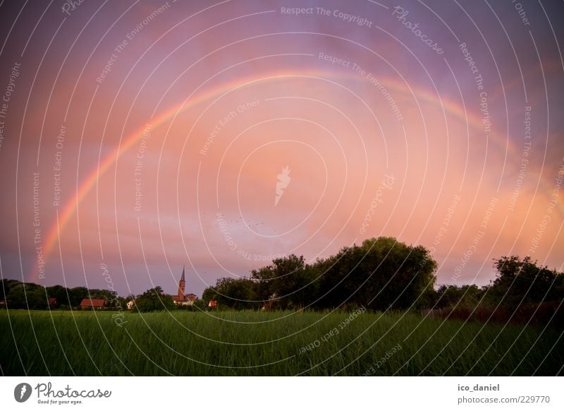 Goldschatz? - Regenbogen Sommer Umwelt Natur Landschaft Urelemente Luft Himmel Wolken Schönes Wetter Gras Wiese Brandenburg Europa Dorf Menschenleer Kirche